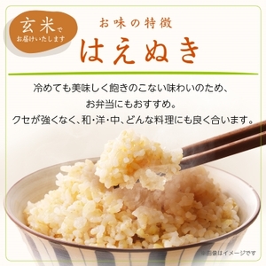 令和7年産　山形県産　はえぬき　玄米　10kg_米 こめ 玄米 はえぬき 山形県 ブランド米 産地直送 人気 おすすめ 贈答 ギフト プレゼント 送料無料 お取り寄せ お米 ごはん_【1144538】
