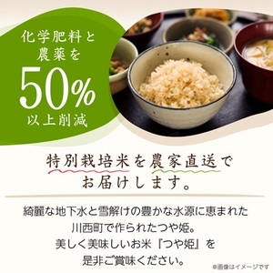 令和7年産　山形県産　つや姫　玄米　10kg_米 こめ 玄米 つや姫 特別栽培米 山形県 ブランド米 産地直送 人気 おすすめ 贈答 ギフト プレゼント 送料無料 お取り寄せ お米 ごはん_【1144539】