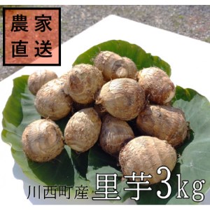 【2024年10月下旬発送開始】農家直送　土付き里芋(大和早生)3kg【1233440】