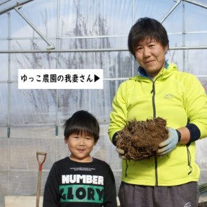 【2024年10月下旬発送開始】農家直送　土付き里芋(大和早生)3kg【1233440】