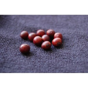 紅大豆4.5kg(手選別品/2023年産)【穀物/大豆】【1280995】