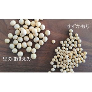 山形県川西町産・大豆10種類セット【穀物/大豆】各300g入_野菜 豆  まめ マメ_【1285613】