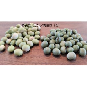 山形県川西町産・大豆10種類セット【穀物/大豆】各300g入_野菜 豆  まめ マメ_【1285613】