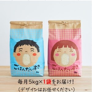 2022年12月発送開始『定期便』山形県産 はえぬき 5kg(5kg×1袋)全6回【5087189】
