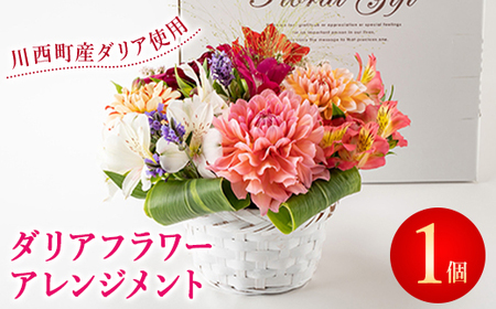 ダリアフラワーアレンジメント 2023年9月順次発送 (フラワーギフト/生花)【1336495】
