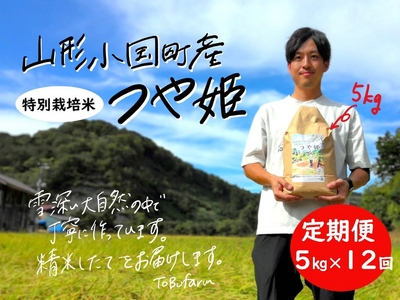 12回定期便】山形県小国町産 つや姫・5kg | 山形県小国町 | ふるさと