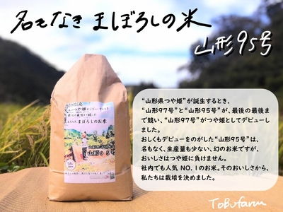 【令和６年新米 先行予約】山形県小国町産　山形95号・15kg（5kg×3袋）