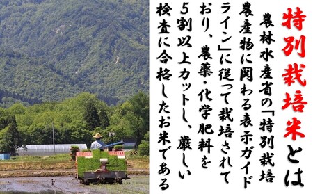 【令和６年新米  先行予約】山形県小国町産 つや姫5kg