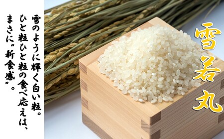 【令和７年産米】雪若丸10kg　高橋