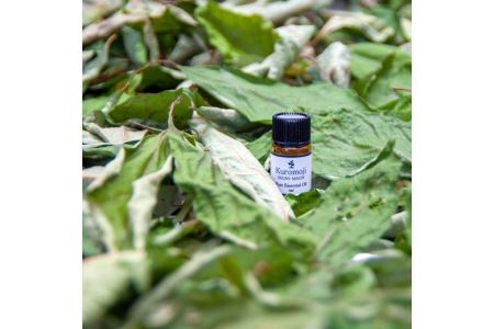 クロモジの香りを楽しむリフレッシュセット（ハーブウォーター、精油セット）