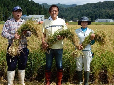 食中酒に最適　桜川酒造　まわる水　吟醸生酒　700mlパック　3本セット