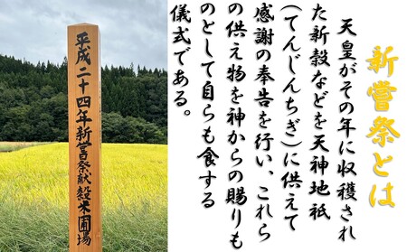 【令和6年産】つや姫10kg（5kg × 2袋）安心安全なおぐに木酢米　～新嘗祭献穀農家の米～