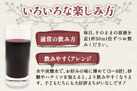 深山の山ぶどうジュース（500ml×2本）白鷹町産 ヤマブドウ 無添加100%原液