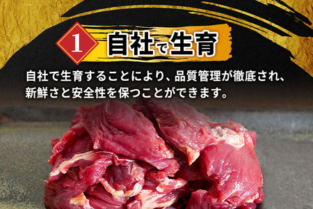 山形県 白鷹産【加熱用】馬肉 切り落とし（約1kg）約200g入×5袋【冷凍発送】