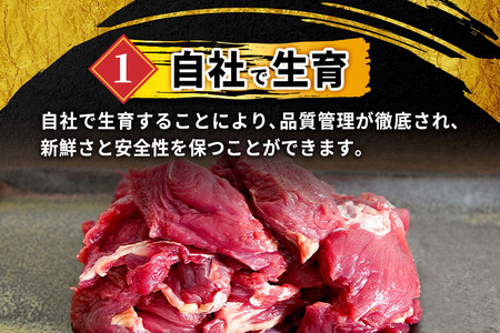 山形県 白鷹産【加熱用】馬肉 切り落とし（約2kg）約200g入×10袋【冷凍発送】