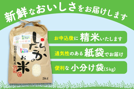 《定期便2ヶ月》【白米】つや姫 5kg×2回（特別栽培米）令和5年産 山形県産 しらたかのお米