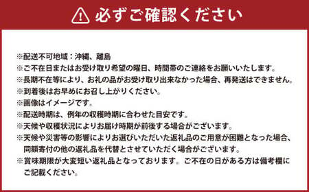 りんご（サンふじ・秀） 約2kg 5玉～8玉 リンゴ 林檎 果物 【11月上旬～12月上旬発送予定】