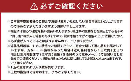 りんご（サンふじ・秀） 約2kg 5玉～8玉 リンゴ 林檎 果物 【11月上旬～12月上旬発送予定】