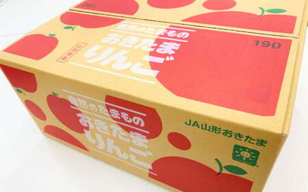 【訳あり品】 りんご（サンふじ・〇秀） 約5kg 14玉～23玉   リンゴ 林檎 果物 【11月上旬～12月上旬発送予定】