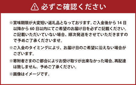 【指定日必須】 米沢牛 ローストビーフ用赤身肉ブロック 約500g （成形済）牛肉 ブランド牛 和牛 