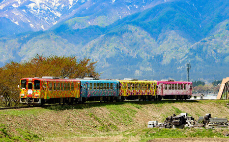 白鷹町への寄附（返礼品はありません） 50,000円 山形県 白鷹町 返礼品なし