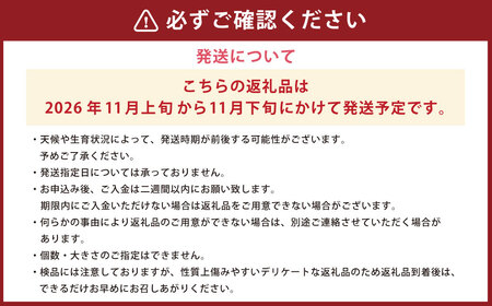 白鷹町産りんご （高徳） 3kg りんご 林檎 果物 くだもの フルーツ 旬 高徳 国産 山形県 白鷹町 【2026年11月上旬～11月下旬発送予定】