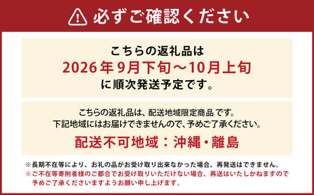山形おきたま産シャインマスカット（秀） 2～3房 （約1.3kg） シャインマスカット マスカット 葡萄 フルーツ 果物 果実 冷蔵 山形県 白鷹町 【2026年9月下旬～10月上旬順次発送予定】