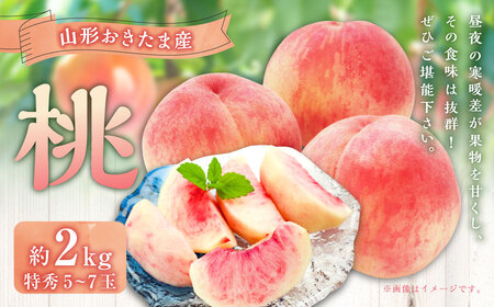 山形おきたま産もも（川中島白桃・まどかなど）（特秀）5玉～7玉 （約2kg） もも 桃 フルーツ 果物 果実 冷蔵 山形県 白鷹町 【2026年8月下旬～9月上旬順次発送予定】