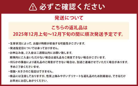 山形県産 りんご ふじ 約3kg 秀品 リンゴ 林檎 果物 くだもの フルーツ 山形 【2025年12月上旬～12月下旬発送予定】