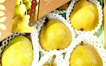 山形県産 ラ・フランス 約3kg 秀品 洋梨 ラフランス 西洋梨 洋ナシ 洋なし ようなし 果物 くだもの フルーツ 山形 【2025年12月上旬～12月下旬発送予定】