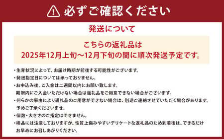 山形県産 ラ・フランス 約3kg 秀品 洋梨 ラフランス 西洋梨 洋ナシ 洋なし ようなし 果物 くだもの フルーツ 山形 【2025年12月上旬～12月下旬発送予定】