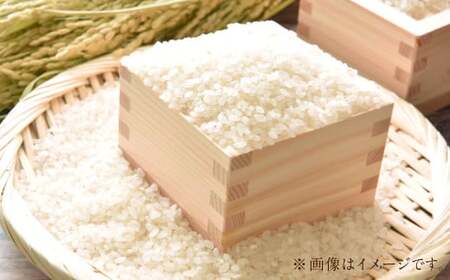 特別栽培米〈令和7年産〉 つや姫 約10kg（約5kg×2袋セット） 白米 10キロ 精米 ブランド米 1等米 お米 山形県 白鷹町 【2026年3月上旬まで発送】