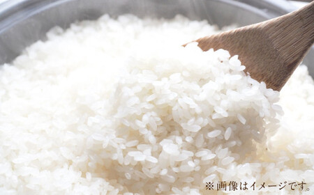 特別栽培米〈令和7年産〉 つや姫 約10kg（約5kg×2袋セット） 白米 10キロ 精米 ブランド米 1等米 お米 山形県 白鷹町 【2026年3月上旬まで発送】