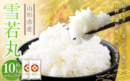 雪若丸〈令和7年産〉 約10kg（約5kg×2袋セット） 白米 10キロ 精米 ブランド米 お米 山形県 白鷹町 【2026年3月上旬まで発送】