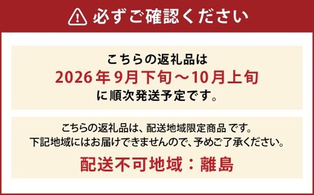 たっぷり日光を浴びたみずみずしい 種無しぶどう3種セット （シャインマスカット＋旬なぶどう） 約2kg 山形県産 産地直送 フルーツ マスカット 果物 高級 ぶどう 【2026年9月下旬～10月上旬に順次発送予定】