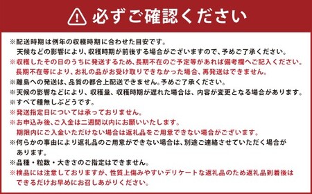 たっぷり日光を浴びたみずみずしい 種無しぶどう3種セット （シャインマスカット＋旬なぶどう） 約2kg 山形県産 産地直送 フルーツ マスカット 果物 高級 ぶどう 【2026年9月下旬～10月上旬に順次発送予定】