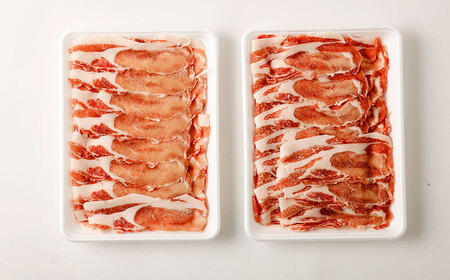 【指定日必須】米沢三元豚 ローススライス 1.2kg (600g×2P) 豚肉 ブランド肉 お肉