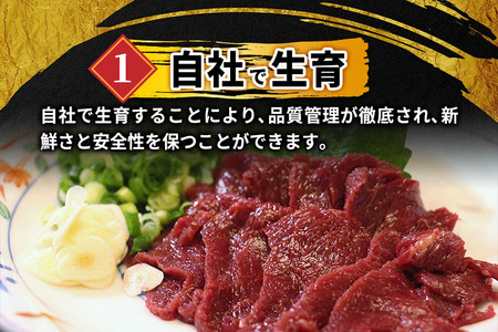 山形県 白鷹産 馬刺しブロック(生食用) 約500g（目安：5～6人前） 馬肉 馬刺し 刺身 肉 国産 冷蔵