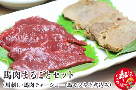 馬肉まるごとセット (馬刺し約300g・馬肉チャーシュー約200g・馬モツみそ煮込み約350g) | 山形県白鷹町 | ふるさと納税サイト「ふるなび」