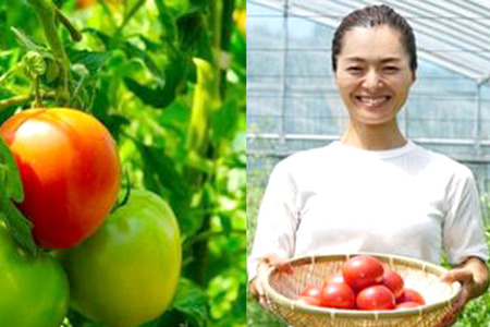 やまのえくぼトマトジュース160ml×6本セット 山形県産