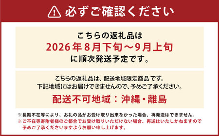 山形県おきたま産 もも （川中島白桃・まどか・桃水など） （特秀） 8玉～11玉（約3kg） 山形県産 フルーツ 果物 【2026年8月下旬～9月上旬発送予定】