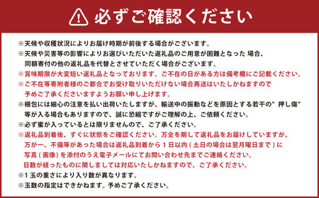 山形おきたま産 りんご（中生種）品種おまかせ 秀品 5玉～8玉 （約2kg） 山形県産 フルーツ 果物 【2026年10月発送】