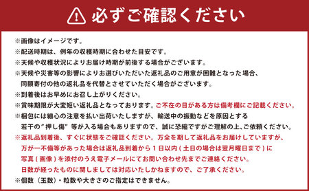 山形おきたま産 ラ・フランス （特秀） 5玉～6玉（約2kg） 【化粧箱入り】 山形県産 フルーツ 果物 【2026年11月上旬～12月上旬発送予定】