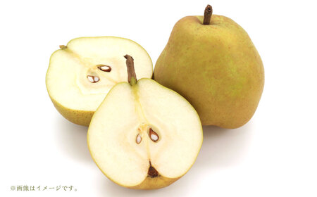 山形県おきたま産 ラ・フランス (特秀) 8玉~11玉 (約3kg) 【化粧箱入り】 山形県産 フルーツ 果物 【2026年11月上旬~12月上旬発送予定】