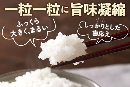 【白米】山形県産 棚田米 白鷹ほまれ 5kg 山形95号 令和6年産 米 お米 精米 コメ おこめ ごはん ご飯 白米 5キロ 【2024年10月下旬～11月下旬に順次発送予定】