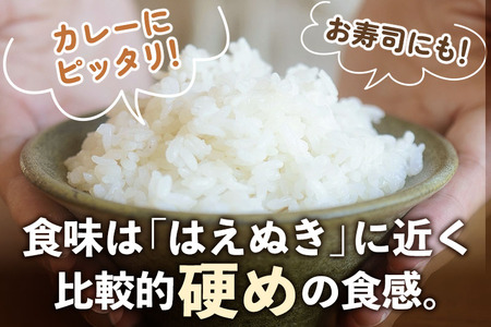 【白米】山形県産 棚田米 白鷹ほまれ 5kg 山形95号 令和6年産 米 お米 精米 コメ おこめ ごはん ご飯 白米 5キロ 【2024年10月下旬～11月下旬に順次発送予定】