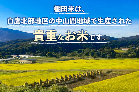 【白米】山形県産 棚田米 白鷹ほまれ 5kg 山形95号 令和6年産 米 お米 精米 コメ おこめ ごはん ご飯 白米 5キロ 【2024年10月下旬～11月下旬に順次発送予定】