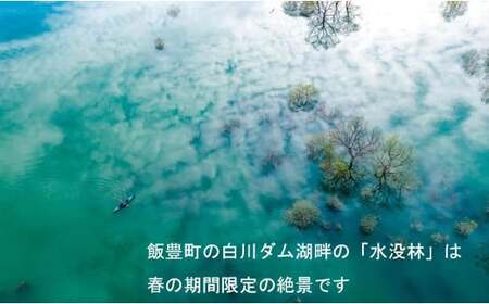 絶景 水没林カヌーツアー（1名様） 癒しの自然満喫アクティビティ【フォトジェニックスポット】