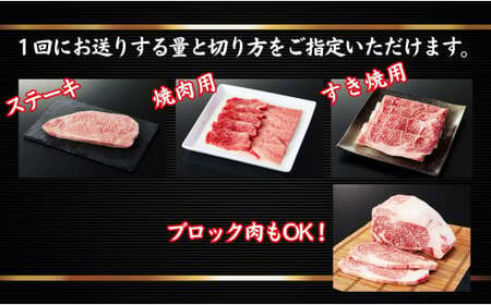 人気のブランド和牛 米沢牛「贅沢」セット(冷蔵便)サーロイン・ヒレ肉合計12.5kg