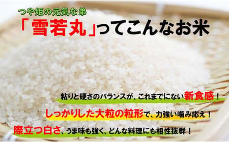 人気のブランド米 雪若丸 白米 10kg(飯豊町産)(R7年産)【価格改定】